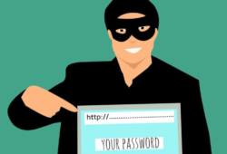 Is this Website a Scam or Not